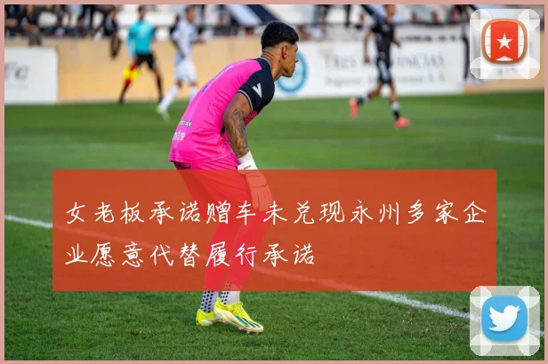 女老板承诺赠车未兑现永州多家企业愿意代替履行承诺