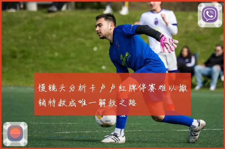 慢镜头分析卡卢卢红牌停赛难以撤销特赦成唯一解救之路